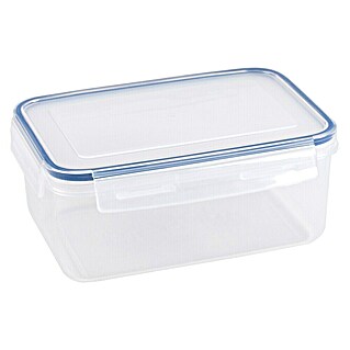 Sunware Frischhaltedose Basic (L x B x H: 22 x 15,6 x 9,4 cm, Transpatent)