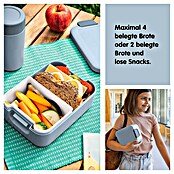 Sunware Sigma home Lunchbox (L x B x H: 17 x 12,3 x 6,1 cm, Blau) | BAUHAUS