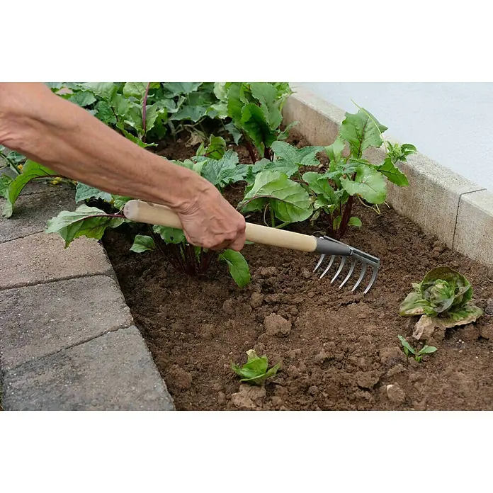 Gardol Hand-Kleinrechen - Arbeitsbreite: 14 cm, Anzahl Zinken: 6, Kurzstiel - Gartenarbeit mit einem Handrechen: Eine Nahaufnahme zeigt, wie der Rechen benutzt wird, um die Erde auf einem Beet aufzulockern.