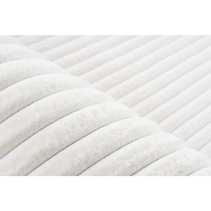 Hochflorteppich Plush (Ivory, 230 x 160 cm, 100 % Polyester) | BAUHAUS