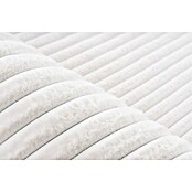 Hochflorteppich Plush (Ivory, 230 x 160 cm, 100 % Polyester) | BAUHAUS