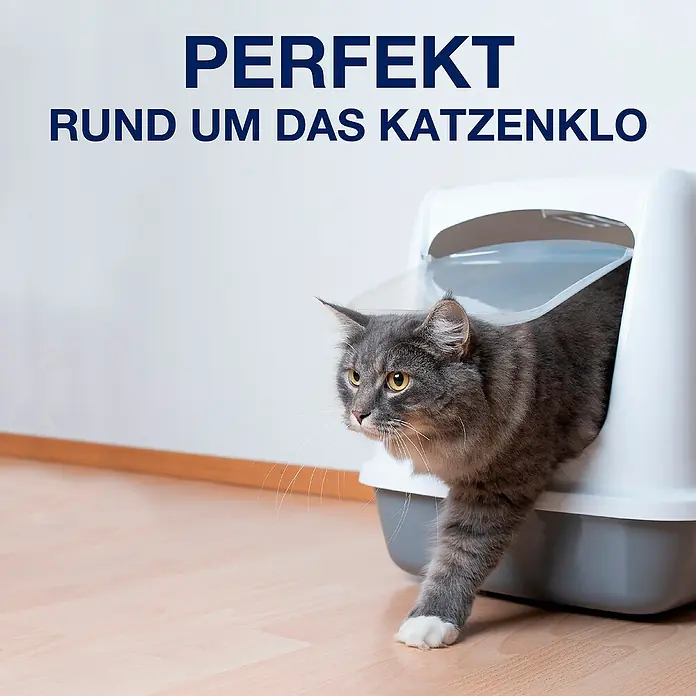 Bona Pet System Reinigungsmittel Tiefenreiniger für Holzböden - 1 l, Flasche mit Sprühkopf - Das Bild zeigt eine Katze, die aus einer Katzentoilette kommt. Der Fokus liegt auf der Sauberkeit rund um das Katzenklo.