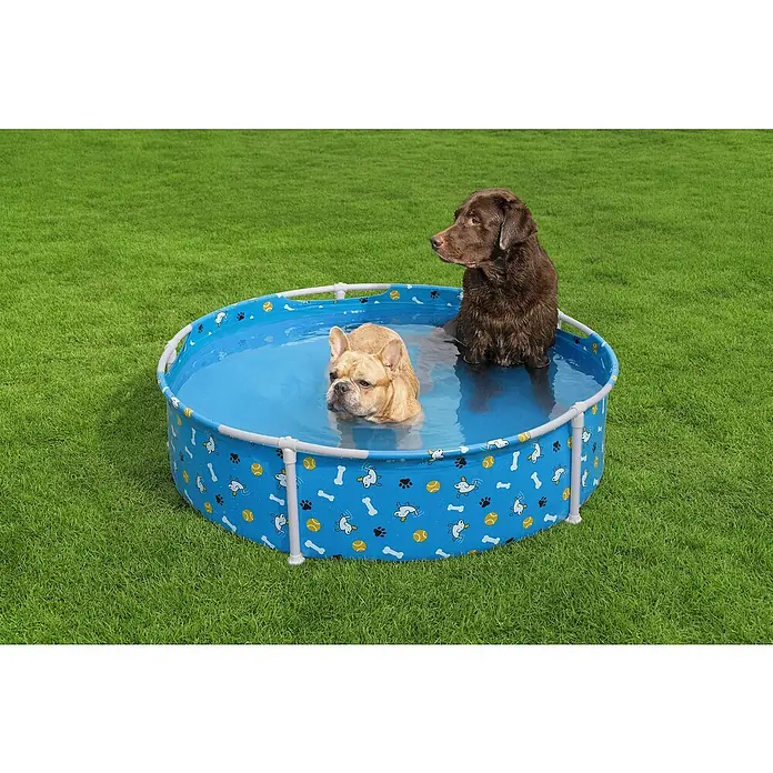 Bestway Frame-Pool Pfote für Haustiere - Ø x H: 122 cm x 30,5 mm, Blau, 292 l - Zwei Hunde genießen ein erfrischendes Bad in einem blauen Hundepool mit verspieltem Muster auf einem grünen Rasen.
