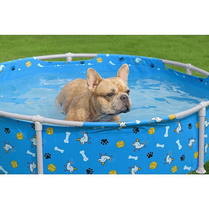 Bestway Frame-Pool Pfote für Haustiere (Ø x H: 122 cm x 30,5 mm, Blau, 292 l) | BAUHAUS