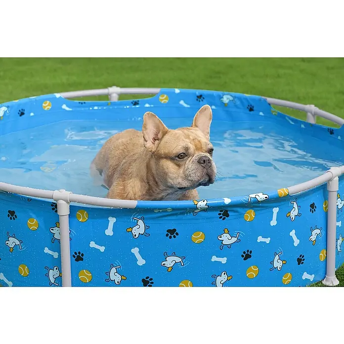Bestway Frame-Pool Pfote für Haustiere - Ø x H: 122 cm x 30,5 mm, Blau, 292 l - Ein beiger Hund kühlt sich in einem blauen Planschbecken mit Hunde-, Knochen- und Ballmotiven ab.