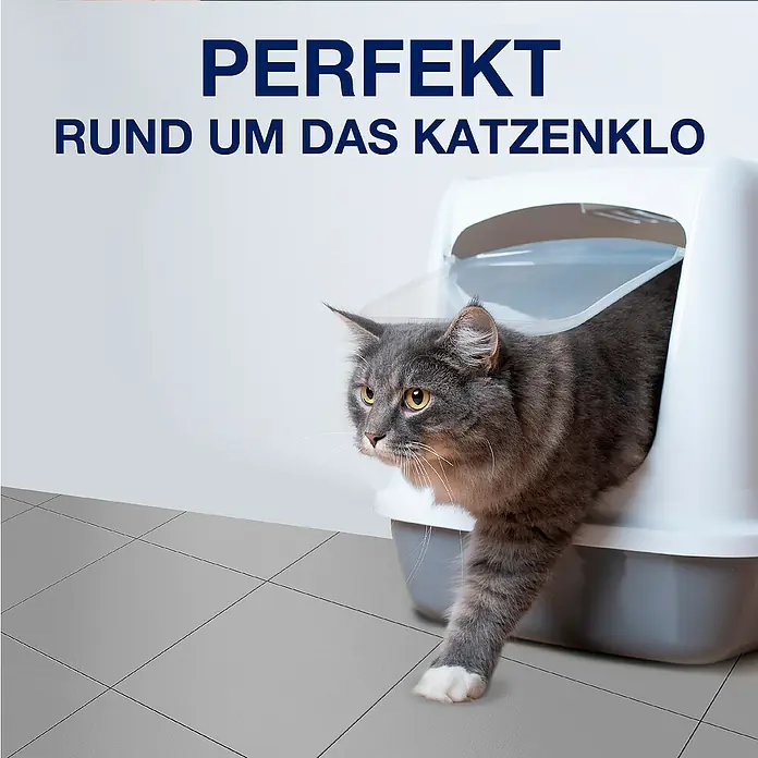 Bona Pet System Reinigungsmittel Tiefenreiniger für Hartböden - 1 l, Flasche mit Sprühkopf - Katze verlässt die Katzentoilette, die für Sauberkeit und Hygiene rund um das Katzenklo sorgt.