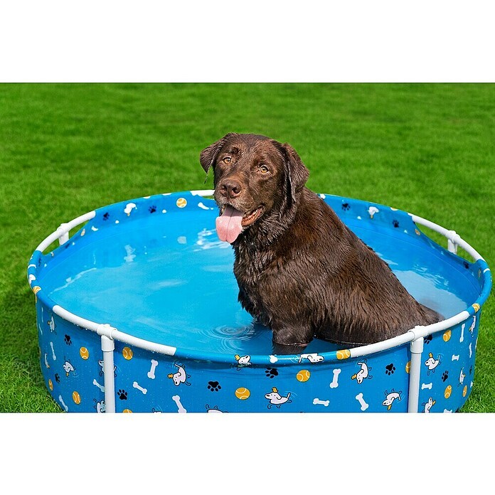 Bestway Frame-Pool Pfote für Haustiere (Ø x H: 122 cm x 30,5 mm, Blau, 292 l) | BAUHAUS