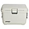 Coleman Nevera de camping Pro (L x An x Al: 26 x 47 x 43 cm, Blanco, 42,5 l) | BAUHAUS