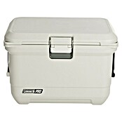 Coleman Prijenosni hladnjak Pro 45QT  (D x Š x V: 26 x 47 x 43 cm, 42,5 l) | BAUHAUS