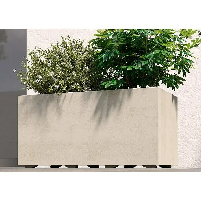 Deroma Millennium Pflanzkasten - Außenmaß (L x B x H): 59 x 25 x 25 cm, Kunststoff, Perlweiß, Mit Bewässerungssystem - Rechteckiger Pflanzkasten aus Beton mit grünen Pflanzen und Blättern. Die Oberfläche des Pflanzkastens hat eine raue Textur und wird von Sonnenlicht beschienen.
