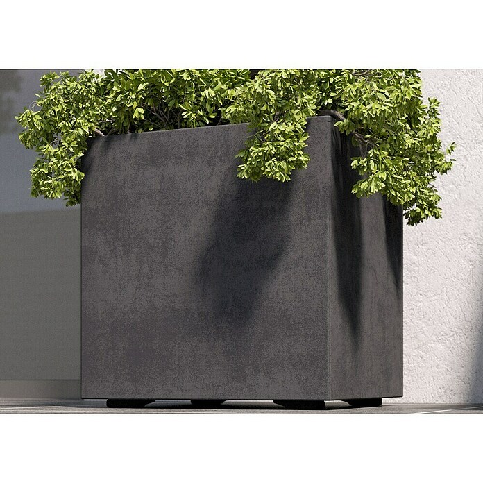Deroma Millennium Pflanzkübel eckig (Außenmaß (L x B x H): 49 x 49 x 49 cm, Kunststoff, Ashgrey) | BAUHAUS