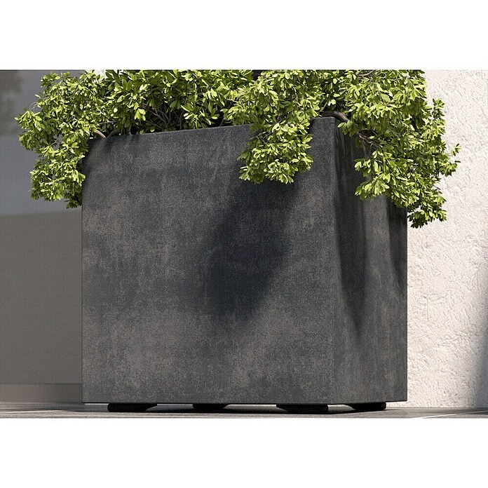 Deroma Millennium Pflanzkasten (Außenmaß (L x B x H): 49 x 49 x 49 cm, Kunststoff, Anthrazit) | BAUHAUS