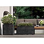 Deroma Millennium Pflanzkasten (Außenmaß (L x B x H): 59 x 25 x 25 cm, Kunststoff, Anthrazit) | BAUHAUS
