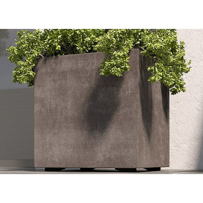 Deroma Millennium Pflanzkübel eckig (L x B x H: 49 x 49 x 49 cm, Kunststoff, Sand) | BAUHAUS