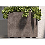 Deroma Millennium Pflanzkübel eckig (L x B x H: 49 x 49 x 49 cm, Kunststoff, Sand) | BAUHAUS