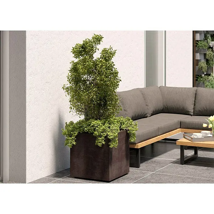 Deroma Millennium Pflanzkübel eckig - L x B x H: 49 x 49 x 49 cm, Kunststoff, Brownstone - Ein stilvoller Außenbereich mit einer Pflanze in einem quadratischen Pflanzkübel und einem grauen Ecksofa mit Holztisch, der einladend wirkt.