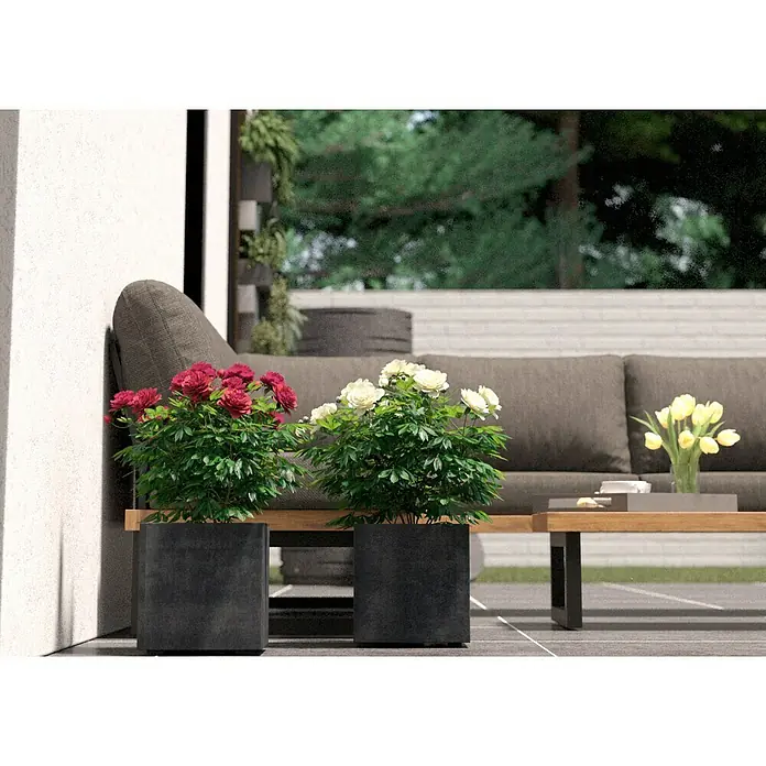 blumenkasten glas Indoor greenhouse BoQube "L" Plus LED  Venso Germany