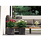 Deroma Millennium Pflanzkasten (Außenmaß (L x B x H): 25 x 25 x 25 cm, Kunststoff, Ashgrey) | BAUHAUS
