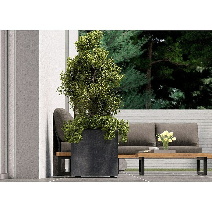 Deroma Millennium Pflanzkübel eckig (Außenmaß (L x B x H): 49 x 49 x 49 cm, Kunststoff, Ashgrey) | BAUHAUS