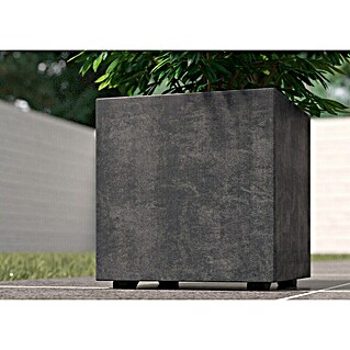 Deroma Millennium Pflanzkasten (Außenmaß (L x B x H): 25 x 25 x 25 cm, Kunststoff, Anthrazit)
