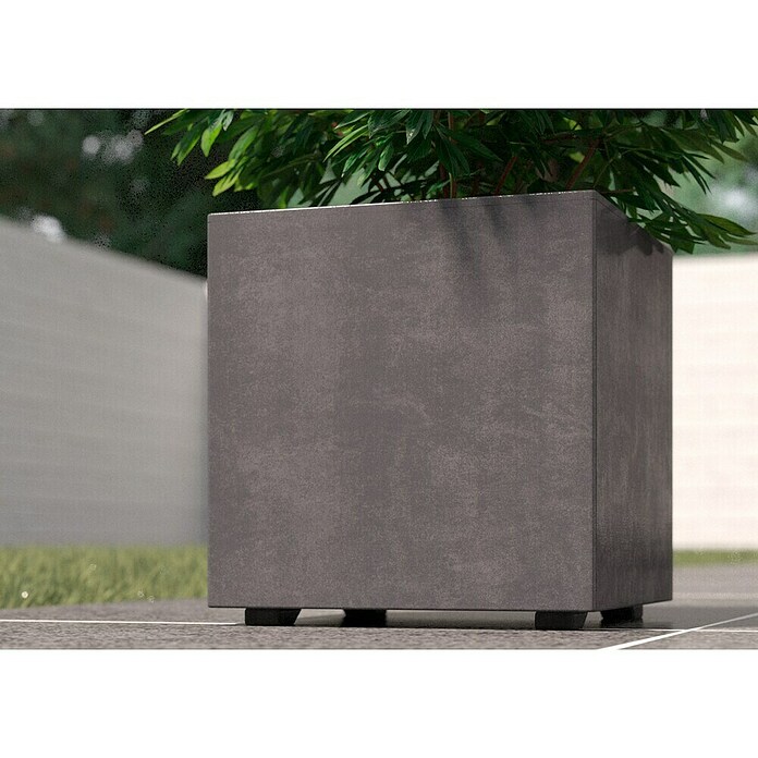 Deroma Millennium Pflanzkasten (Außenmaß (L x B x H): 25 x 25 x 25 cm, Kunststoff, Ashgrey) | BAUHAUS