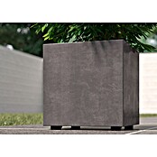 Deroma Millennium Pflanzkasten (Außenmaß (L x B x H): 25 x 25 x 25 cm, Kunststoff, Ashgrey) | BAUHAUS
