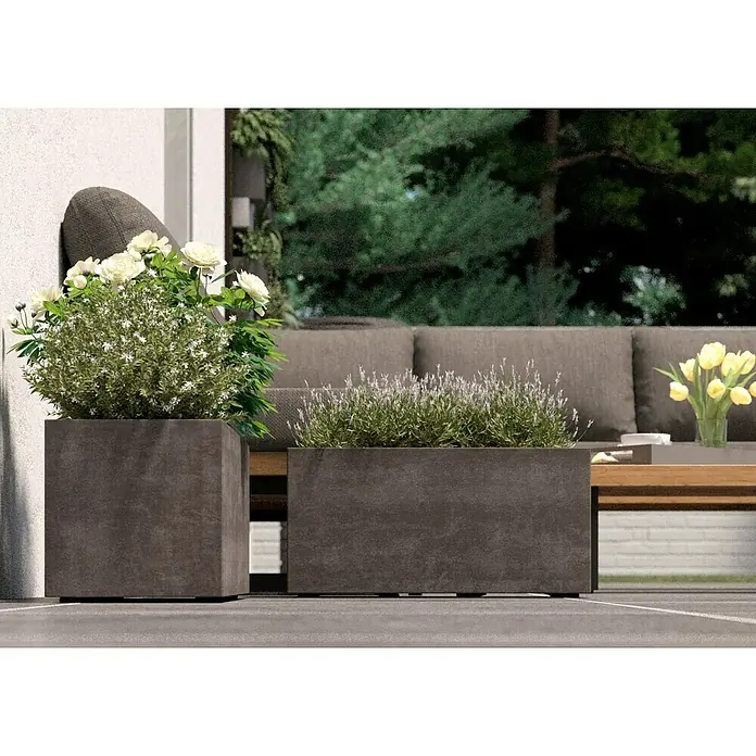 Deroma Millennium Pflanzkasten - Außenmaß (L x B x H): 59 x 25 x 25 cm, Kunststoff, Sand, Mit Bewässerungssystem - Zwei dekorative Pflanzkübel aus Beton mit üppigen Grünpflanzen, die eine stilvolle Gartendekoration für den Außenbereich schaffen.