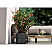Deroma Millennium Pflanzkasten (Außenmaß (L x B x H): 39 x 39 x 39 cm, Kunststoff, Anthrazit) | BAUHAUS