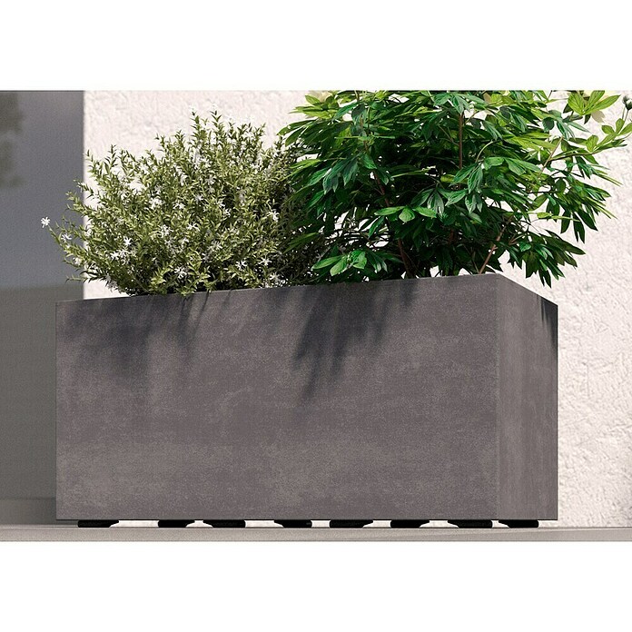 Deroma Millennium Pflanzkasten (Außenmaß (L x B x H): 59 x 25 x 25 cm, Kunststoff, Ashgrey) | BAUHAUS