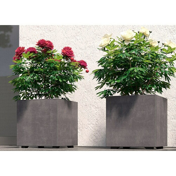 Deroma Millennium Pflanzkasten (Außenmaß (L x B x H): 25 x 25 x 25 cm, Kunststoff, Ashgrey) | BAUHAUS
