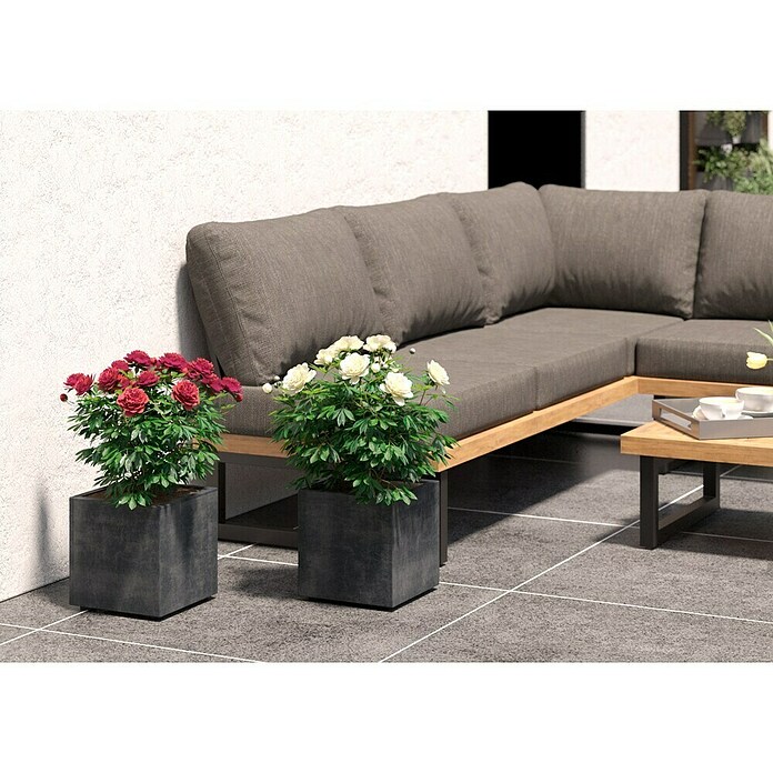 Deroma Millennium Pflanzkasten (Außenmaß (L x B x H): 25 x 25 x 25 cm, Kunststoff, Anthrazit) | BAUHAUS