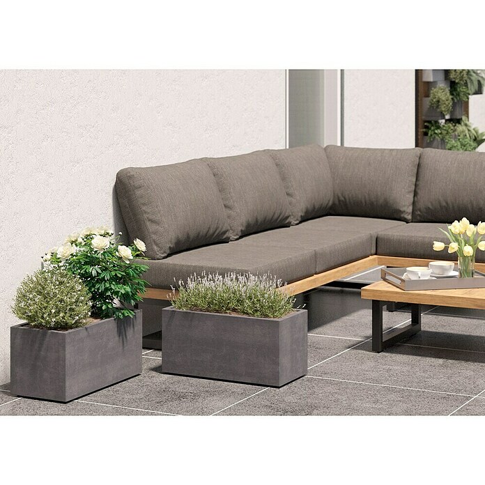 Deroma Millennium Pflanzkasten (Außenmaß (L x B x H): 59 x 25 x 25 cm, Kunststoff, Ashgrey) | BAUHAUS