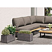 Deroma Millennium Pflanzkasten (Außenmaß (L x B x H): 59 x 25 x 25 cm, Kunststoff, Ashgrey) | BAUHAUS