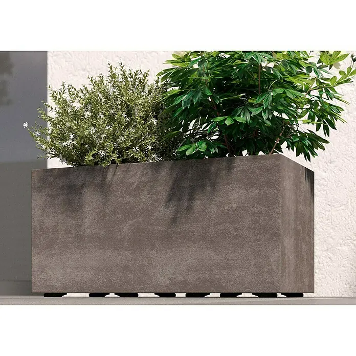 Deroma Millennium Pflanzkasten - Außenmaß (L x B x H): 59 x 25 x 25 cm, Kunststoff, Sand, Mit Bewässerungssystem - Grauer Pflanzkasten mit grünen Pflanzen. Dieser stilvolle Pflanzkasten ist perfekt für den Innen- und Außenbereich und bietet eine elegante Optik.