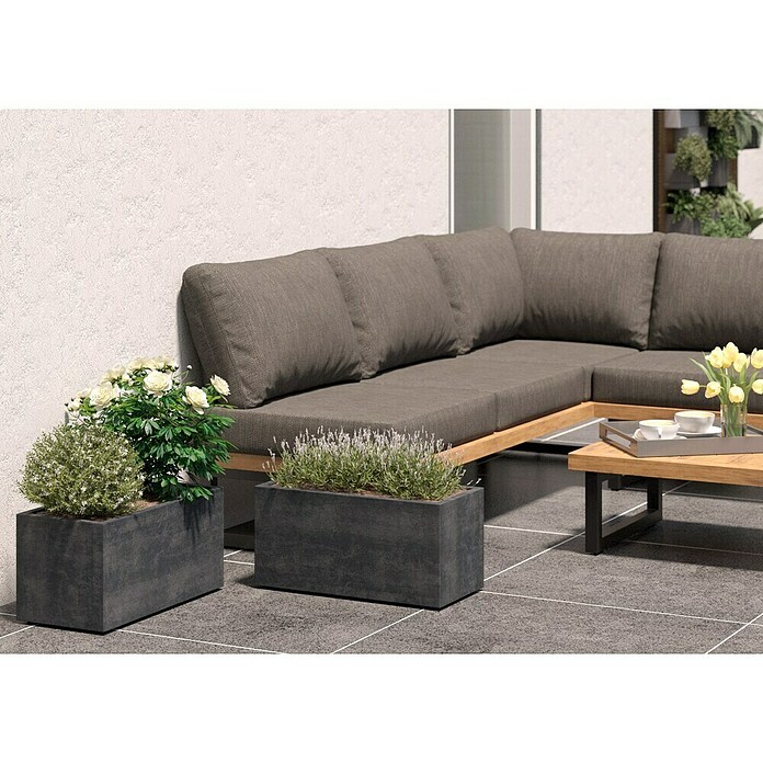 Deroma Millennium Pflanzkasten (Außenmaß (L x B x H): 59 x 25 x 25 cm, Kunststoff, Anthrazit) | BAUHAUS