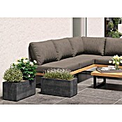 Deroma Millennium Pflanzkasten (Außenmaß (L x B x H): 59 x 25 x 25 cm, Kunststoff, Anthrazit) | BAUHAUS