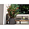 Deroma Millennium Pflanzkasten (Außenmaß (L x B x H): 39 x 39 x 39 cm, Kunststoff, Ashgrey) | BAUHAUS