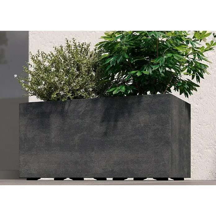 Deroma Millennium Pflanzkasten - Auenma (L x B x H): 59 x 25 x 25 cm,  Kunststoff, Anthrazit online kaufen bei BAUHAUS