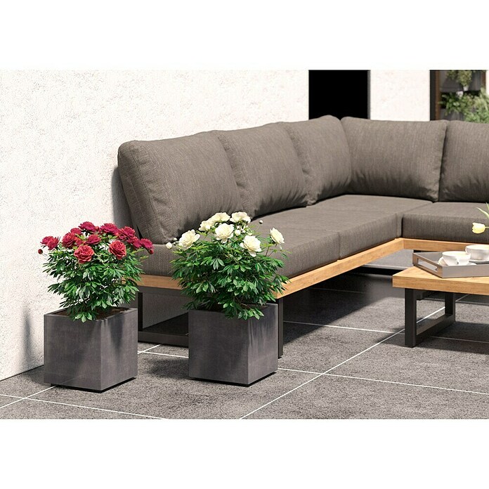 Deroma Millennium Pflanzkasten (Außenmaß (L x B x H): 25 x 25 x 25 cm, Kunststoff, Ashgrey) | BAUHAUS