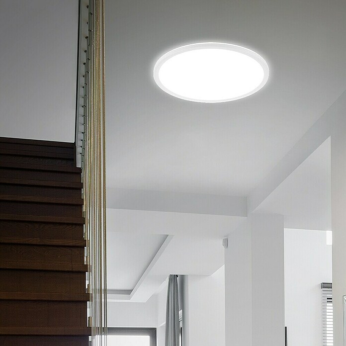 Ledpaneel, rond met backlight Wit (Ø x h: 480 x 30 mm, Neutraal wit) | BAUHAUS