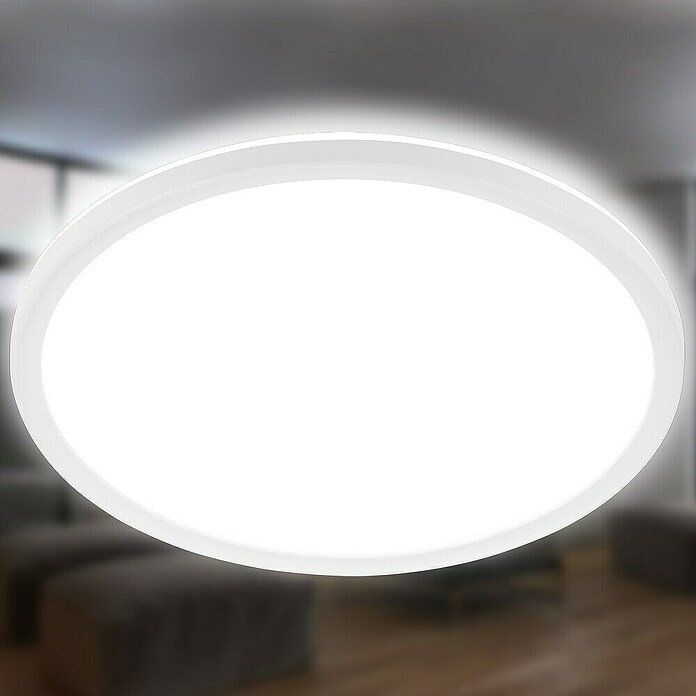 Ledpaneel, rond met backlight Wit (Ø x h: 480 x 30 mm, Neutraal wit) | BAUHAUS