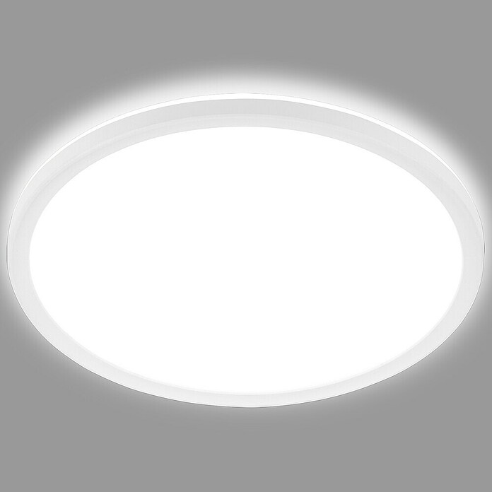 Ledpaneel, rond met backlight Wit (Ø x h: 480 x 30 mm, Neutraal wit) | BAUHAUS