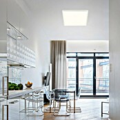 Led paneel met backlight (l x b x h: 420 x 420 x 30 mm, Koud wit) | BAUHAUS