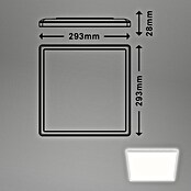 Led paneel met backlight (l x b x h: 293 x 293 x 28 mm, Neutraal wit, Wit) | BAUHAUS