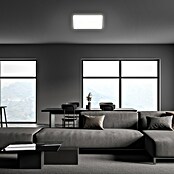 Led paneel met backlight (l x b x h: 293 x 293 x 28 mm, Neutraal wit, Wit) | BAUHAUS