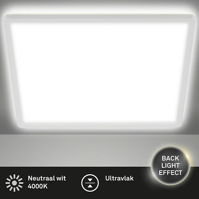 Led paneel met backlight (l x b x h: 293 x 293 x 28 mm, Neutraal wit, Wit) | BAUHAUS