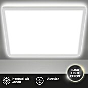 Led paneel met backlight (l x b x h: 293 x 293 x 28 mm, Neutraal wit, Wit) | BAUHAUS