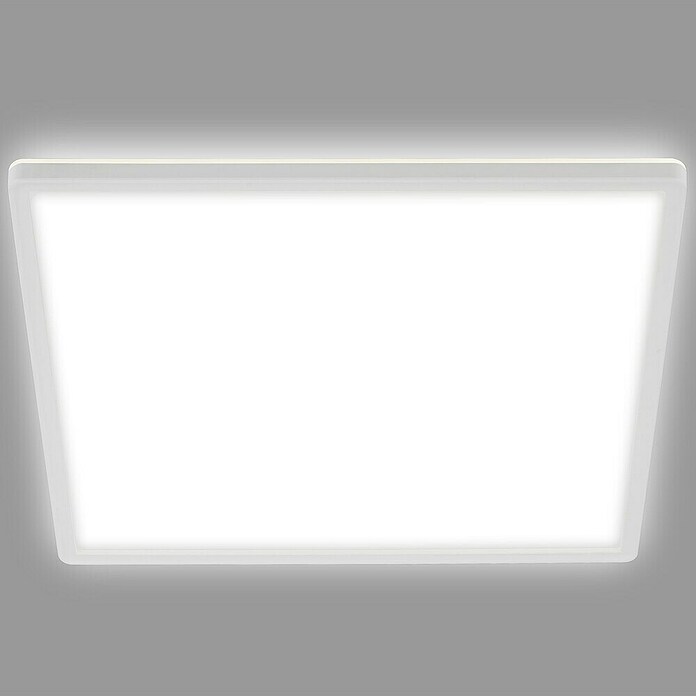 Led paneel met backlight (l x b x h: 293 x 293 x 28 mm, Neutraal wit, Wit) | BAUHAUS