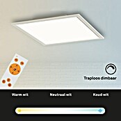 Led paneel met backlight (l x b x h: 295 x 295 x 50 mm, Koud wit) | BAUHAUS