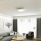 Led paneel met backlight (l x b x h: 295 x 295 x 50 mm, Koud wit) | BAUHAUS
